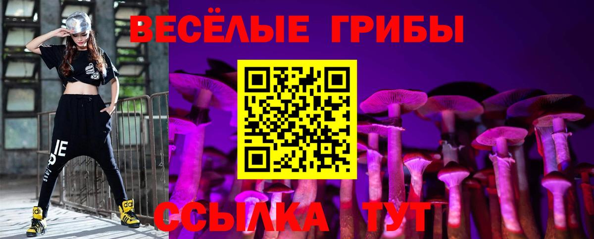 Псилоцибиновые грибы Psilocybe Югорск